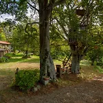 I 3 Faggi By Interhome Tatil Evi Spignana