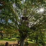 Tatil Evi I 3 Faggi By Interhome Spignana