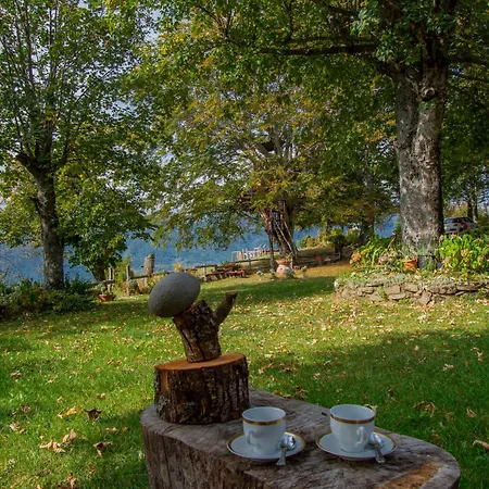 Holiday home I 3 Faggi By Interhome *